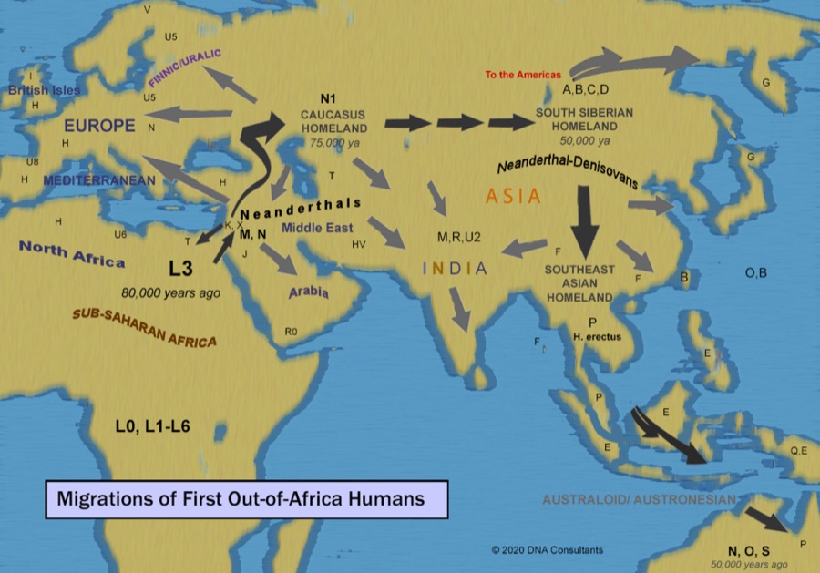 Map of early human migrations out of Africa