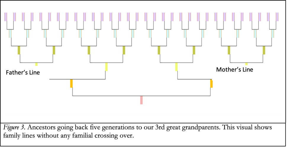 Vital Records Family Tree - DNA Consultants