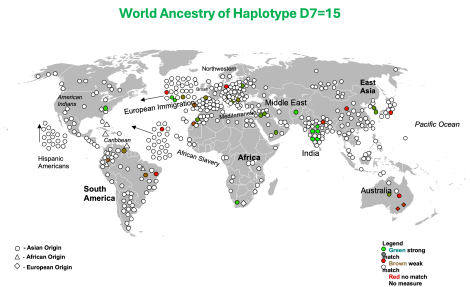 Only 43 populations worldwide have this private allele of the Cherokee. #1 India Meitei (6.1%), #5 Cherokee. Metapopulations: #1 East Indian, #2 Native American. Megapopulations: #1 South Asian, #2 American Indian, #3 African.