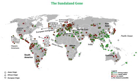 Distribution of highest frequencies of the Sundaland Gene